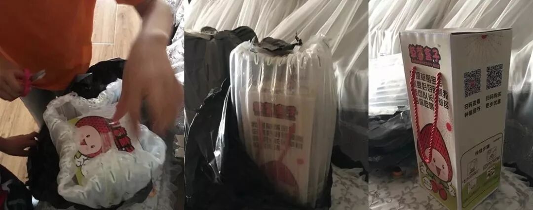 草莓一年结几次果_草莓结果子的图片_草莓结小果