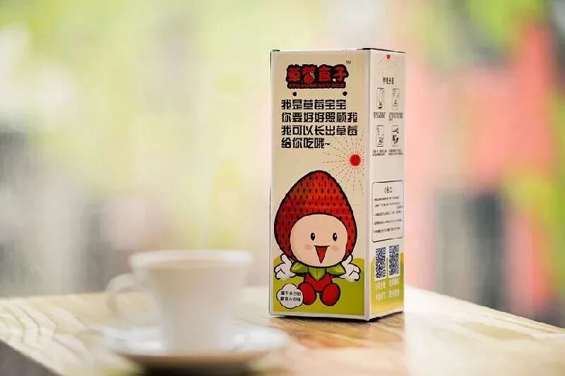 草莓结果子的图片_草莓一年结几次果_草莓结小果