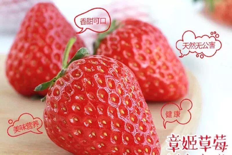 草莓一年结几次果_草莓结小果_草莓结果子的图片