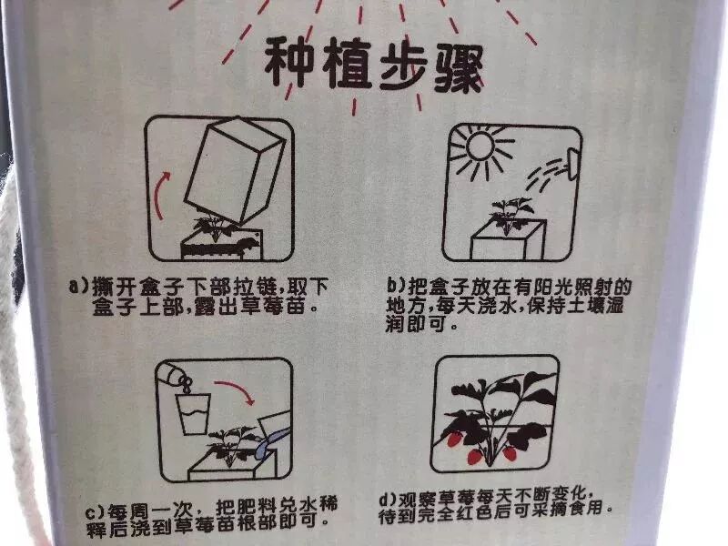 草莓一年结几次果_草莓结果子的图片_草莓结小果