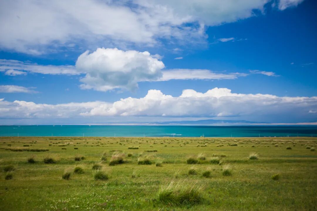 旅游团购物点上演小剧场围猎客户,购物团——怎样让旅游变成了一场赌局？