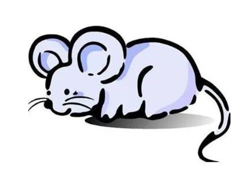 今年72岁是属啥的_属什么今年_百度今年属什么