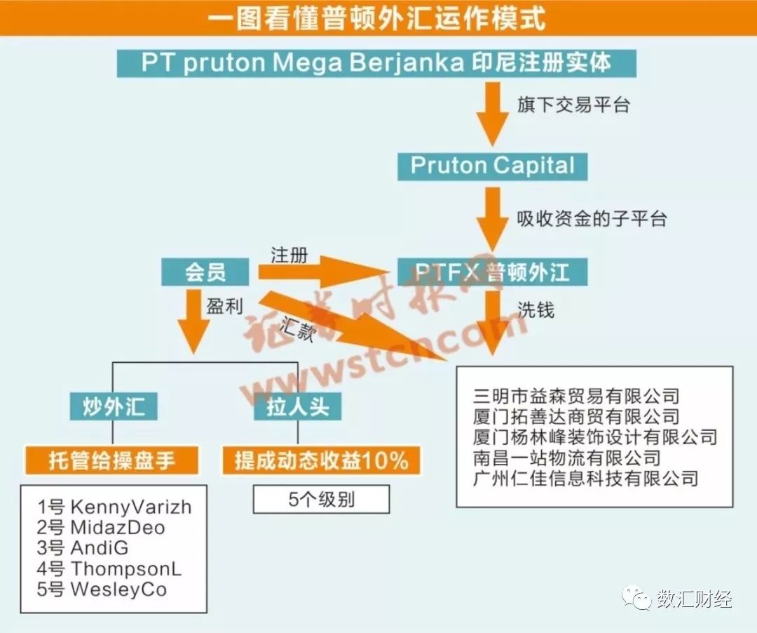 厦门外汇诈骗案