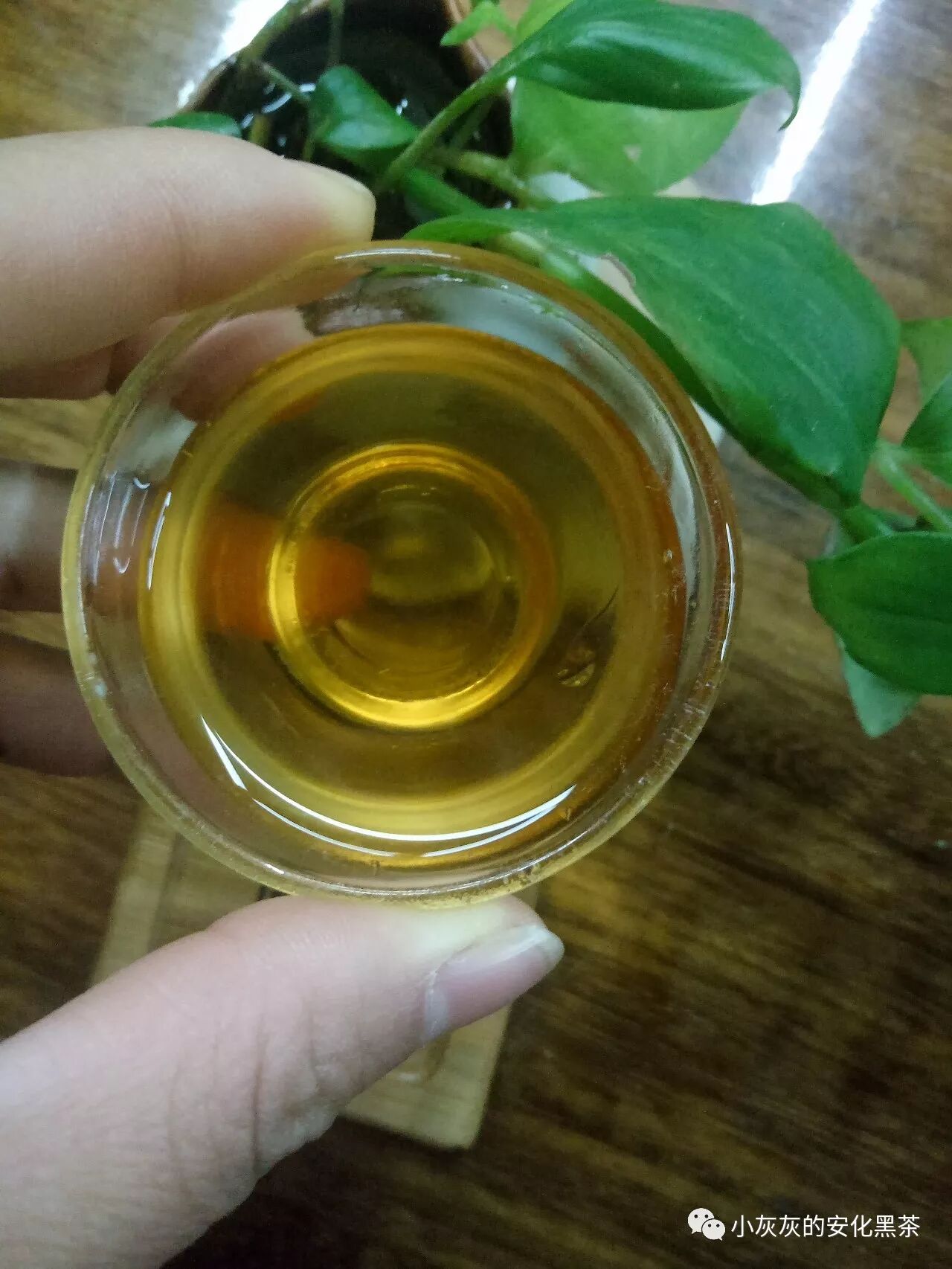 安化黑茶，一杯清茗，一颗静心！