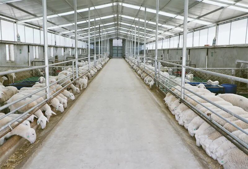 深度调研 | 布楞沟村调查：脱贫村全面振兴之路