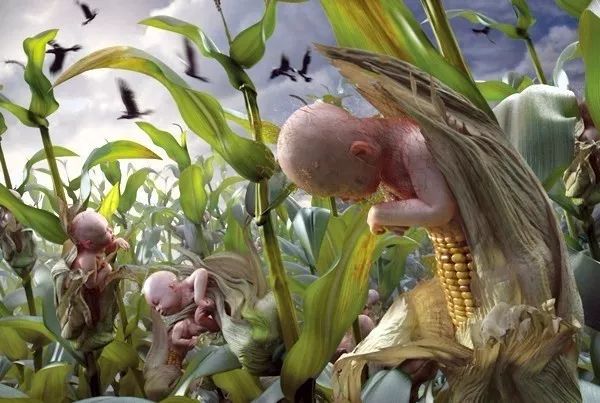 微信图片_20181119101326