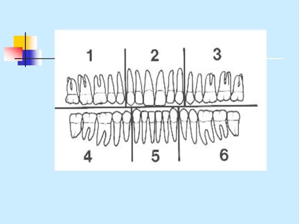 不得不知的治疗牙周炎的5种最有效方法！
