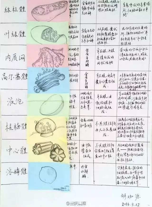 阅读教案怎么写_写人的作文指导教案_幼儿教案详细教案怎样写