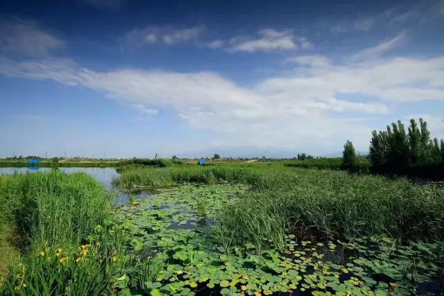 “秋老虎”来了，纳凉+美食都给你安排好了~