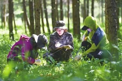 土地沙漠化 刘东生：防治土地荒漠化 推动绿色发展