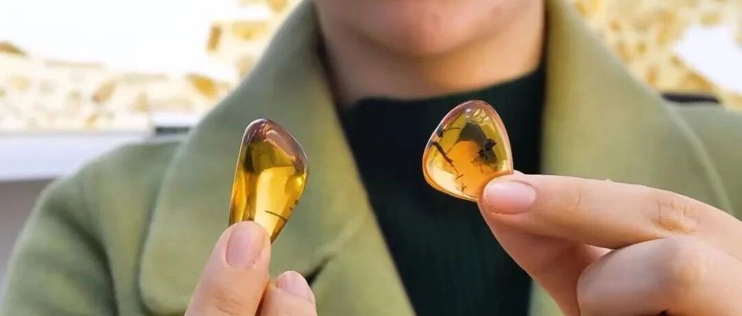 这份“穿越亿年时光的爱恋”是青科人独有的浪漫！