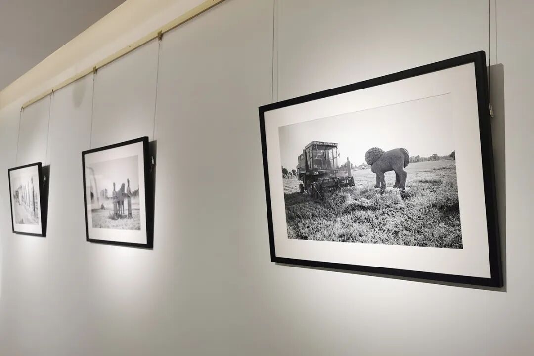 南京畫(huà)冊(cè)印刷_鄭州畫(huà)冊(cè)印刷_畫(huà)冊(cè)印刷印刷多少錢(qián)