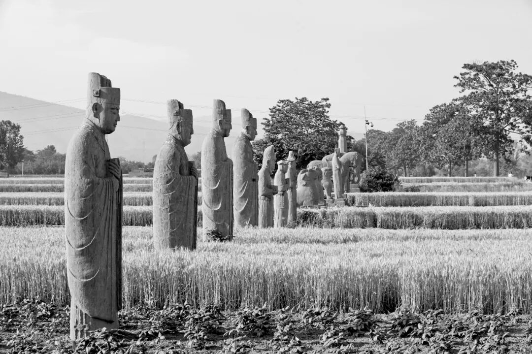 佛山畫(huà)冊(cè)印刷_畫(huà)冊(cè)印刷方式_企業(yè)畫(huà)冊(cè)印刷