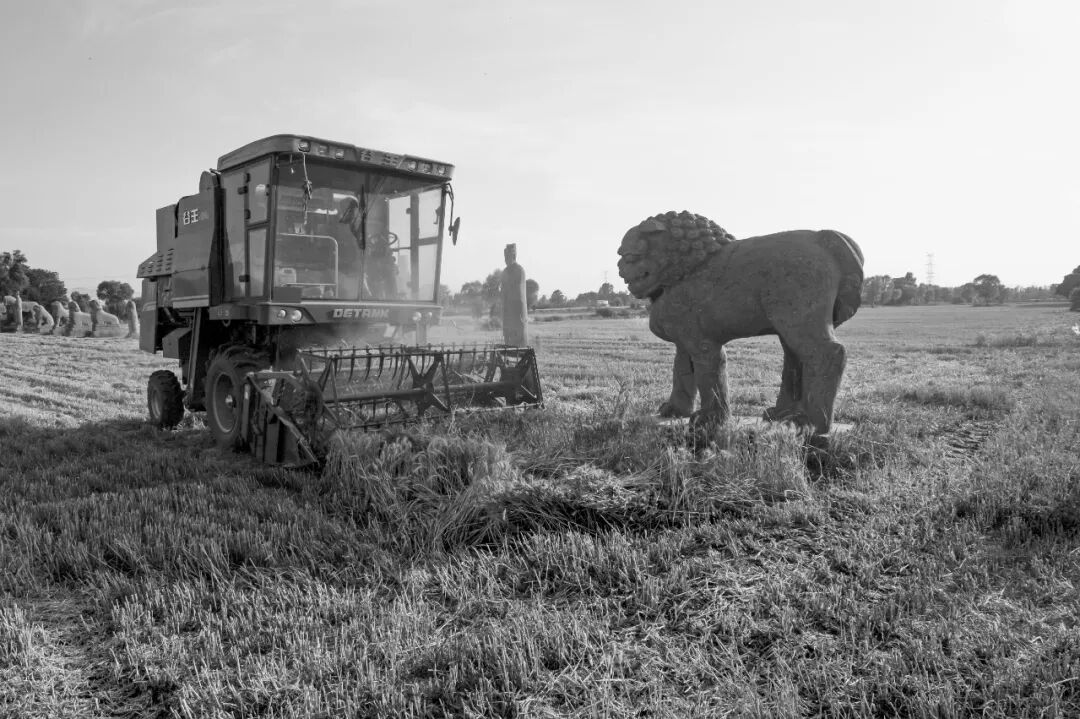 企業(yè)畫(huà)冊(cè)印刷_佛山畫(huà)冊(cè)印刷_畫(huà)冊(cè)印刷方式