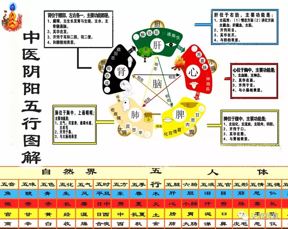 玄天通脉第三期七医入门弟子传承班 8月21日 天界传真 微信公众号文章阅读 Wemp