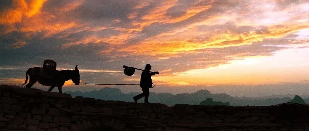 2022，要活得像个庄稼人