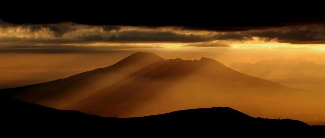 向毛泽东学战略