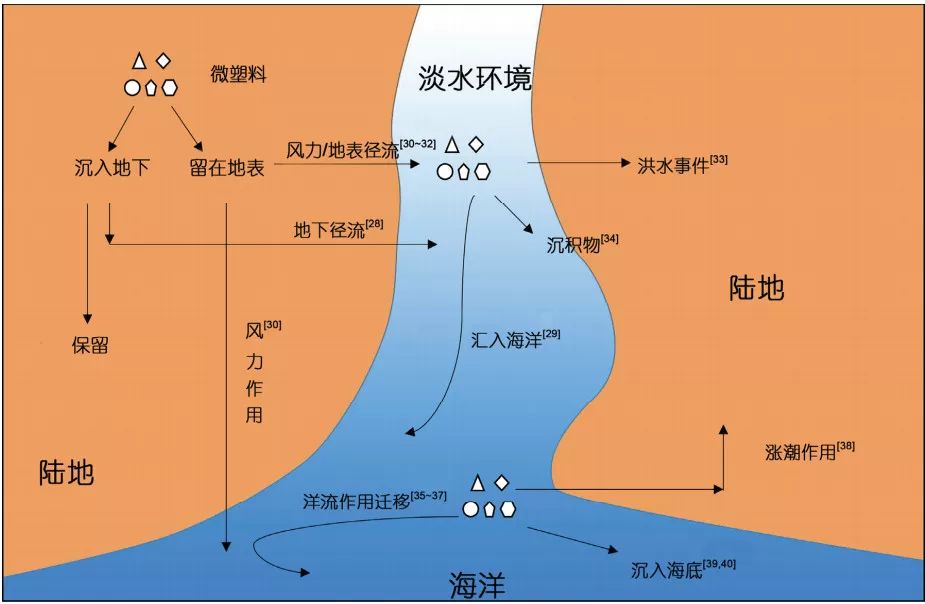 微塑料广泛存在，我们会成为”塑料人“吗？