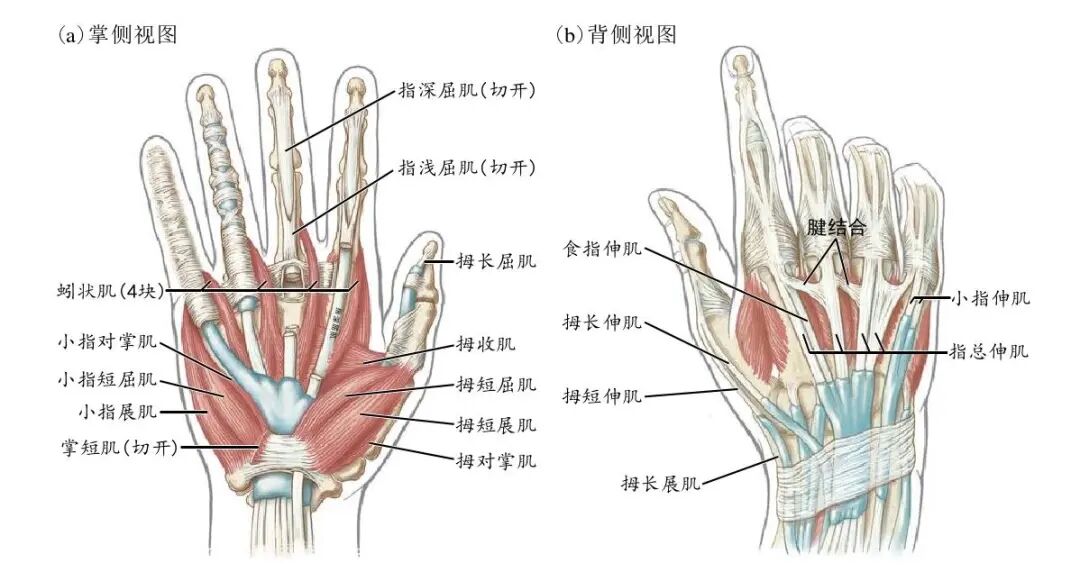 壹读 - 瓦斯阅读