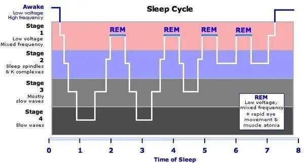 �ų�������ȥ˯������