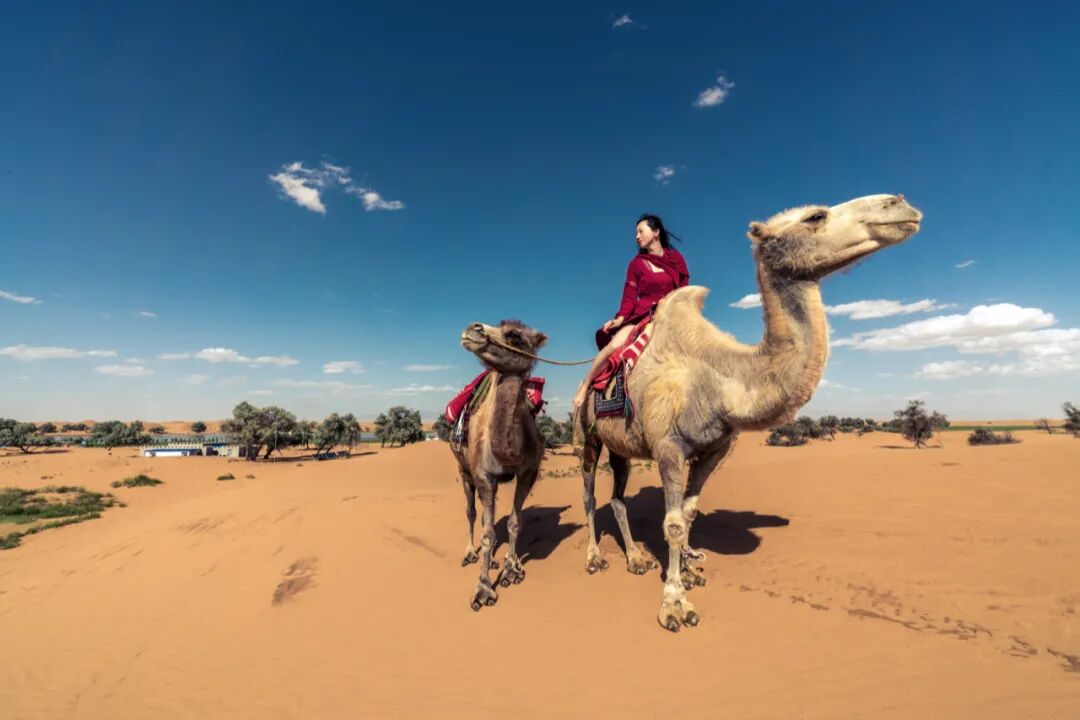 ?������Ҳ�ܻ������У����޵Ĺ���ƽ�棬���÷������ڲ�����