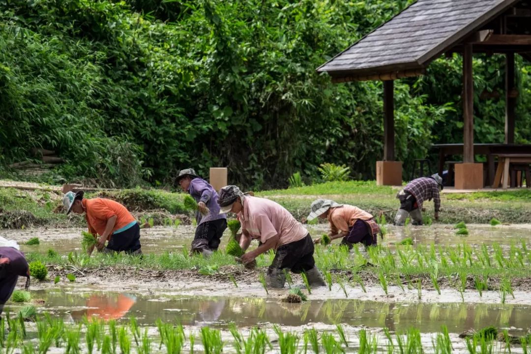 稻田里的農場民宿：舊原木＋傳統工藝，打造最有質感的生態民宿 家居 第32張