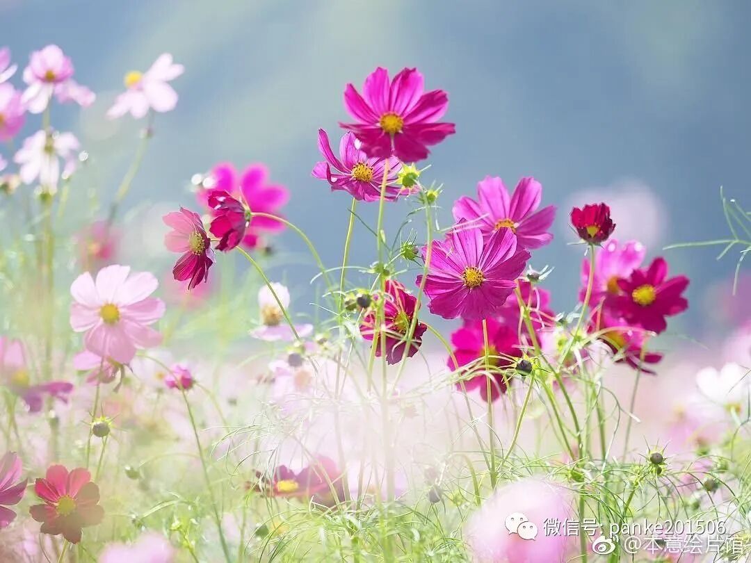 【孟东花|燕银花老师，慈母般的良师益友】图1