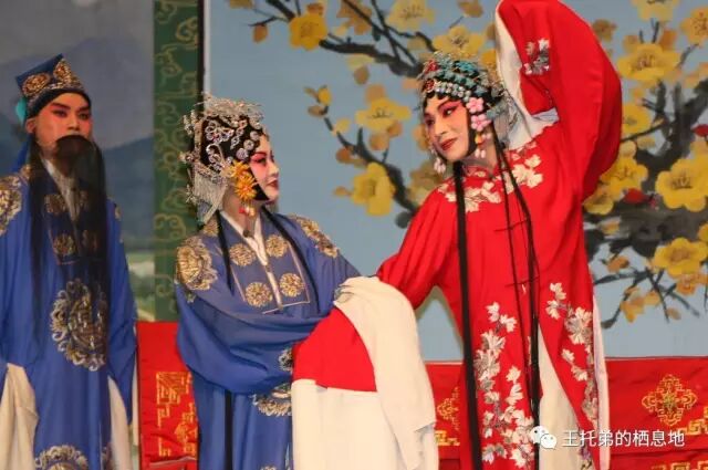 念依/我和豫剧有段缘