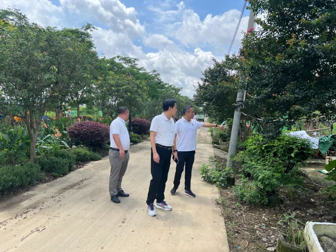 督导污水工程管理情况先后到龙瑞村祥农洲开展窝棚整治工作镇党委书记