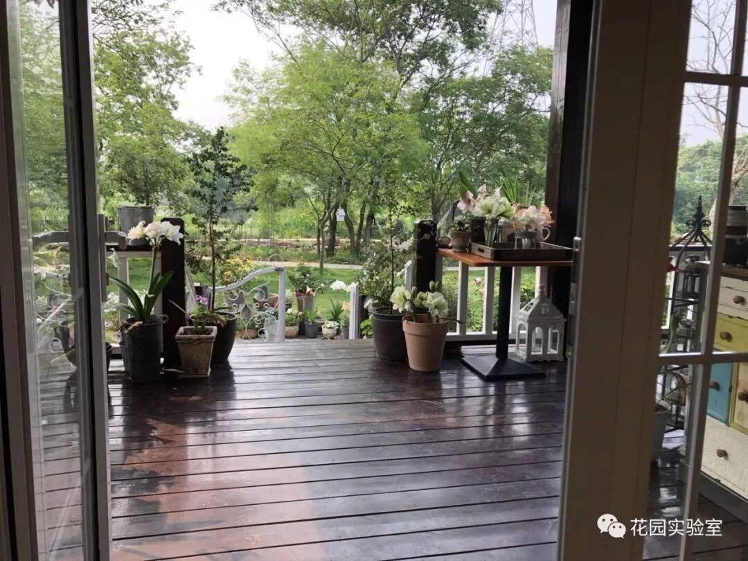 不仅仅是树与花 舜城画境拓荒造园记 花园实验室 微信公众号文章阅读 Wemp