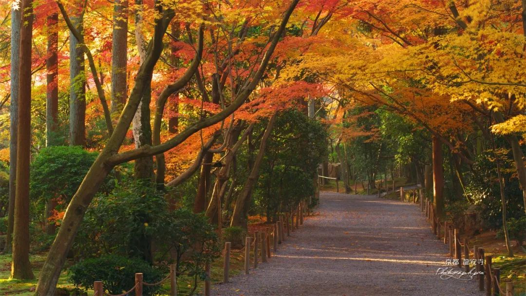 小而美的花园游学 不一样的秋日红叶 花园和集市之旅 花园实验室 微信公众号文章阅读 Wemp