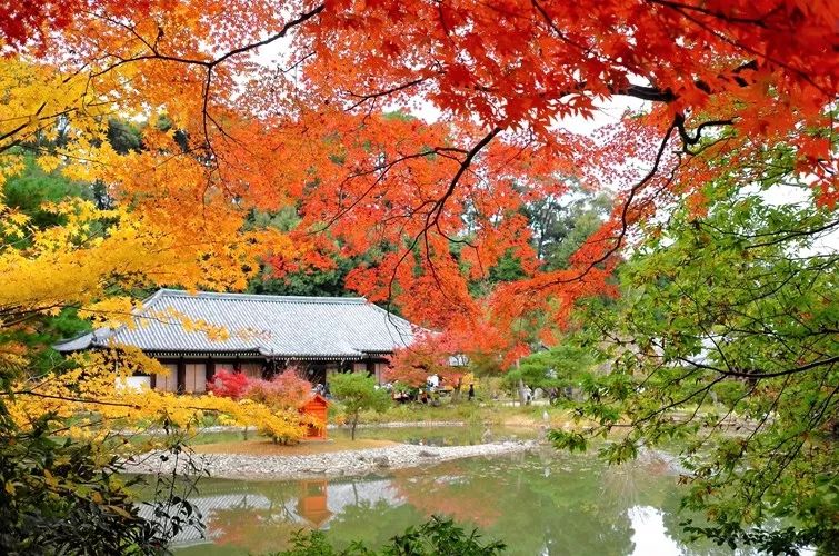 小而美的花园游学 不一样的秋日红叶 花园和集市之旅 花园实验室 微信公众号文章阅读 Wemp