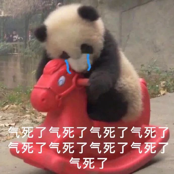 苗价格批发_约苗上的九价是真的吗_苗价是什么意思