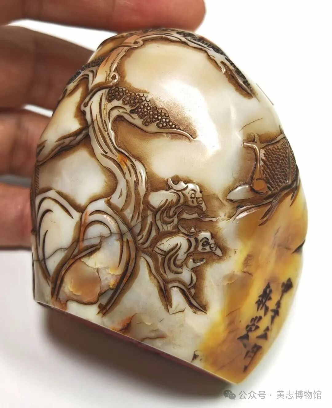 群腐工作集中整治工作存在的不足