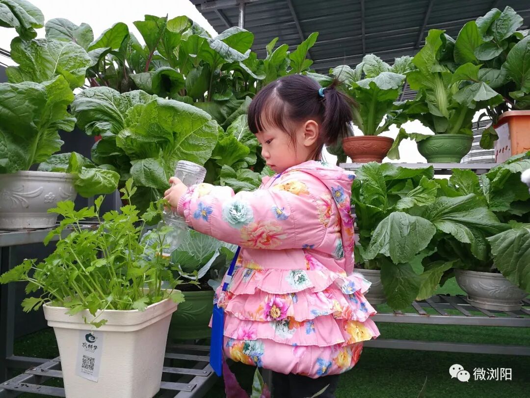 基质土多少钱一吨_基质土_基质土和营养土的区别