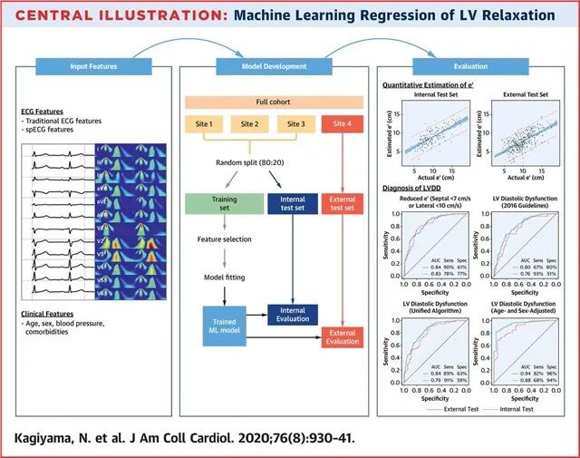 心电图机器怎么看JACC｜基于心电图特征的左室舒张功能机器学习评价_https://www.jmylbn.com_新闻资讯_第2张
