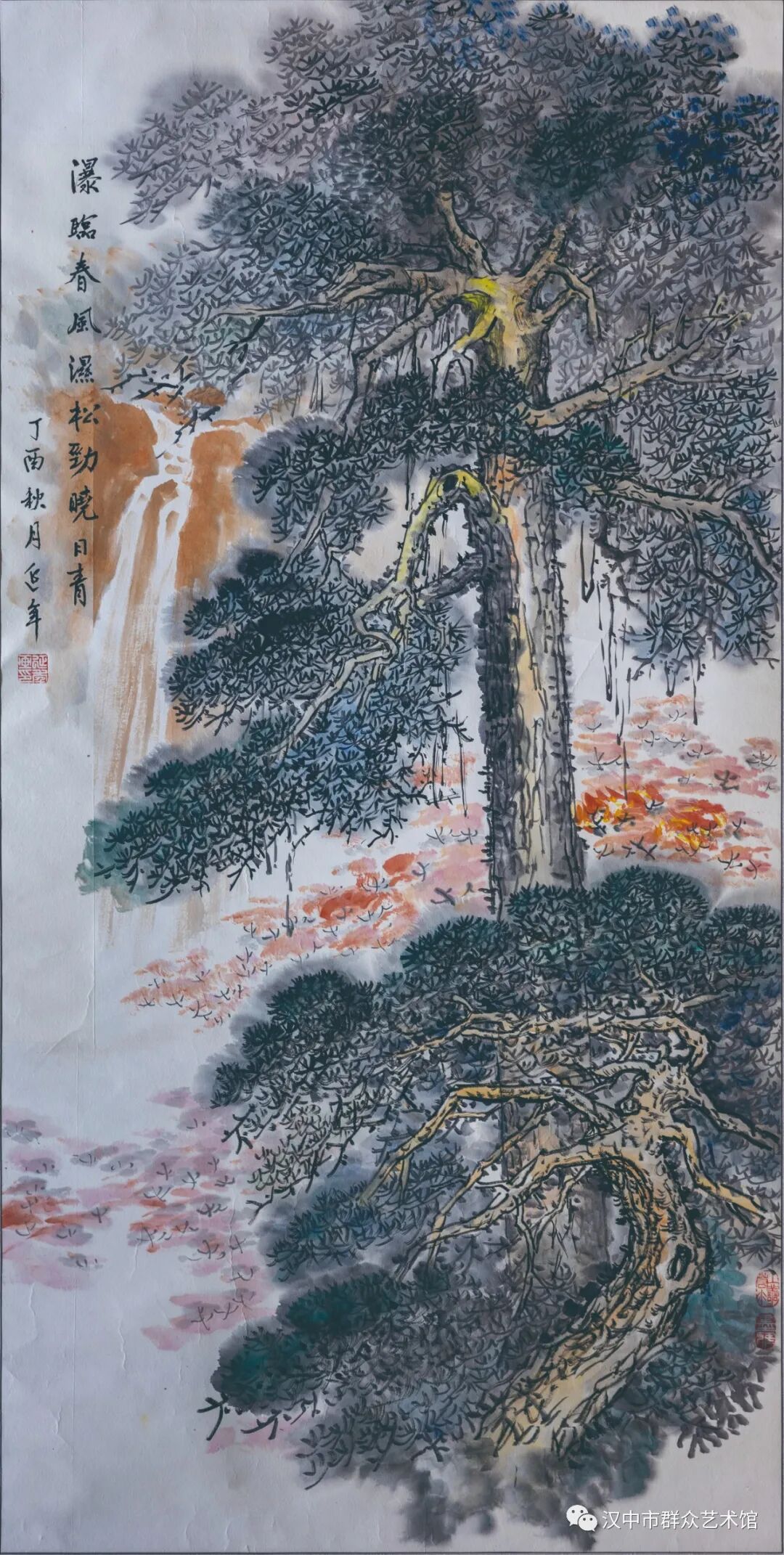 图片