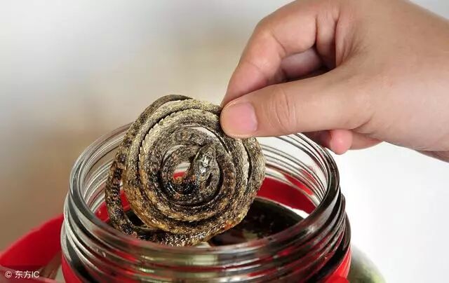 补阳的五味中药，收藏一下吧