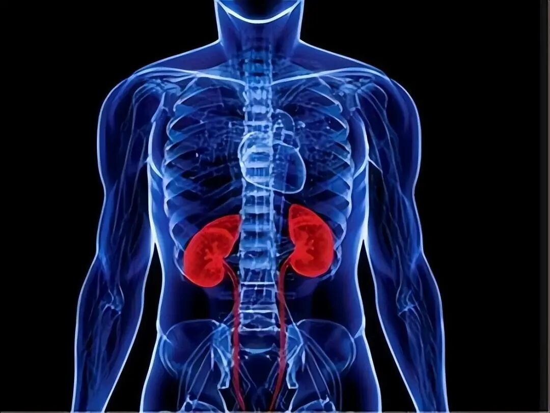 肾精不足，身体会出现这5种情况，教你一个中成药，补肾填精