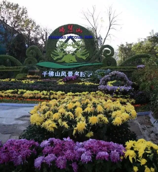 慧佛山多高_读佛即是拜佛六祖慧能传_佛慧山