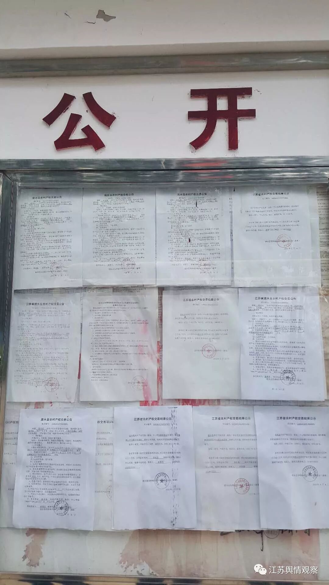 公示栏里各类招标公告令人眼花缭乱。丁亚鹏摄