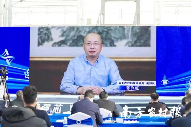 农业农村部党组成员、副部长张兴旺视频讲话。