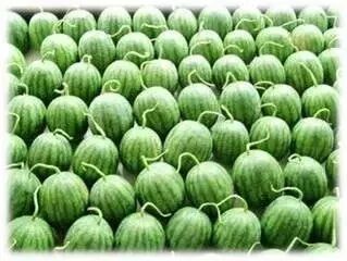 aql抽样标准表 2.5 二级_aql抽样标准算几级文件_aql抽样标准