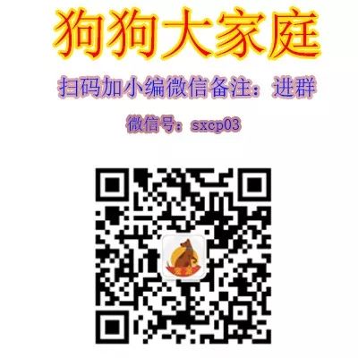 因想吃狗肉就偷走別人的薩摩耶，警察兩小時破案，但狗卻已下鍋…… 萌寵 第3張