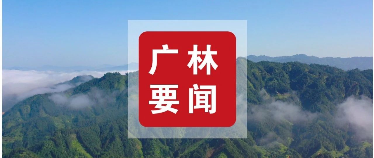 广林智慧门店在邕盛大开业