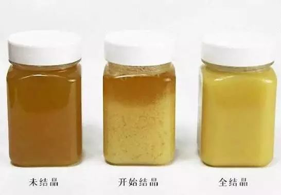 蜂农教你6招鉴别真假蜂蜜