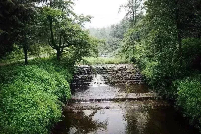 中國最美尼姑庵，處處禪意，隻種花不燒香 旅遊 第5張