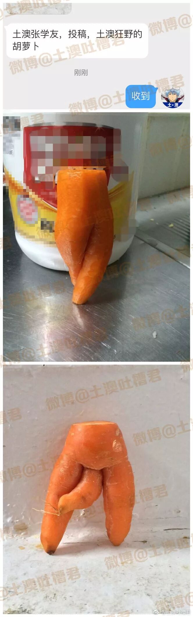 太狂野了!怎么可以长得如此open？！ - 1