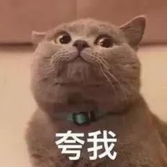 圣花猫牌阵怎么解_花圣_圣园未花