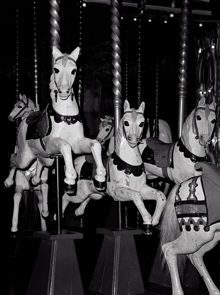 alley, 1998flap anatomy book, 2008easter, beaverton, 2010